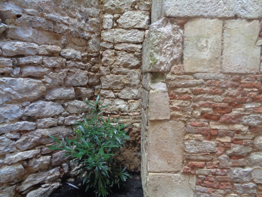 B&B Le Chat Qui Dort Montricoux Экстерьер фото
